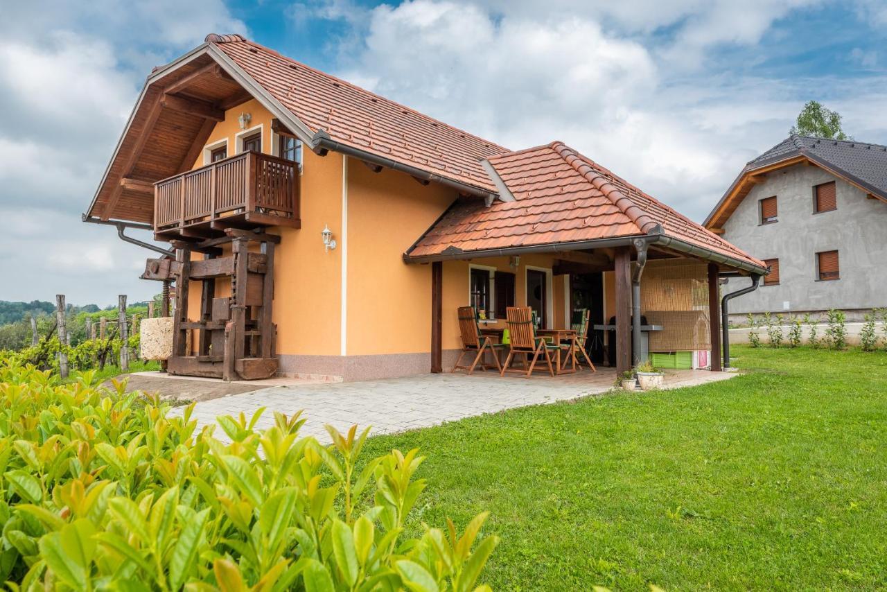 Wineyard Getaway House Villa Sevnica Luaran gambar